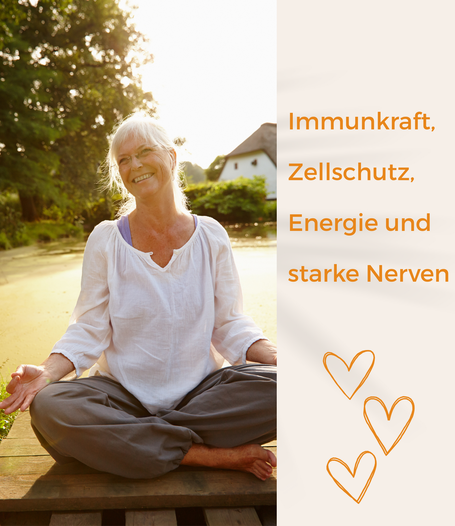 Fermentiertes Immunsystem, Zellschutz, Energie und Nerven