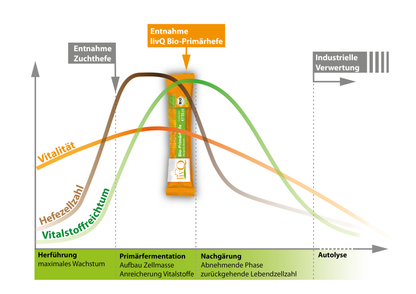 livQ Bio-Primärhefe, pur